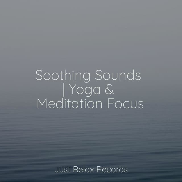 Soothing Sounds | Yoga & Meditation Focus - Spa & Spa