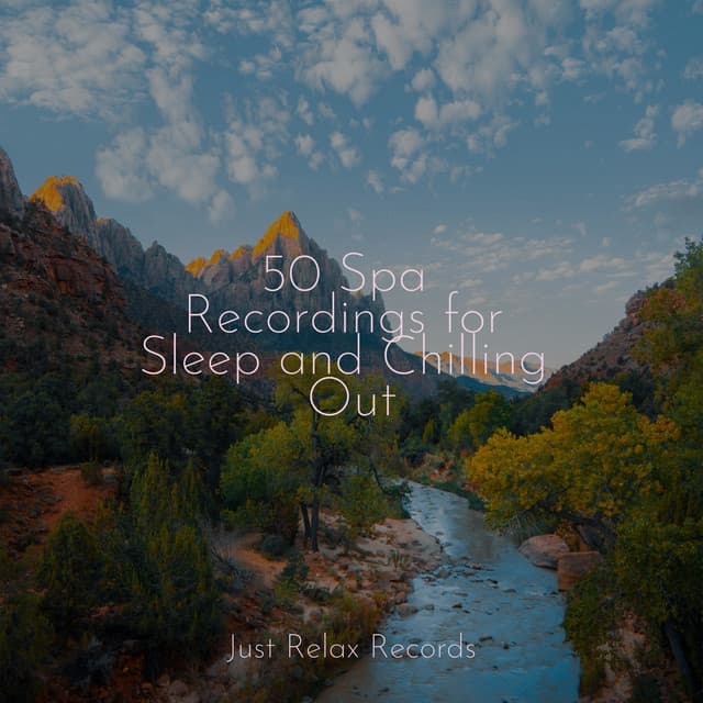 50 Spa Recordings for Sleep and Chilling Out - Spa