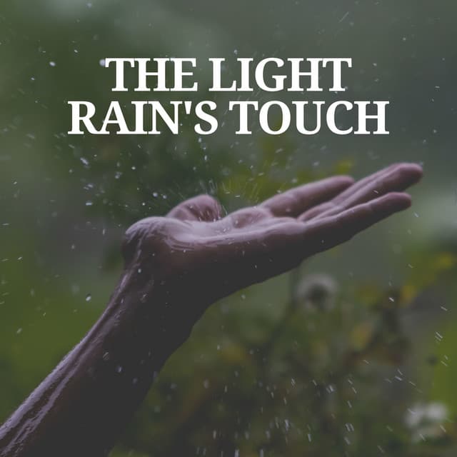 The Light Rain's Touch - Rain Sounds for Sleep Aid