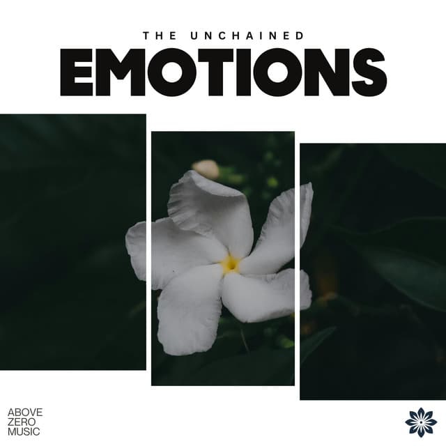 The Unchained Emotions - Natural Healing Music Zone