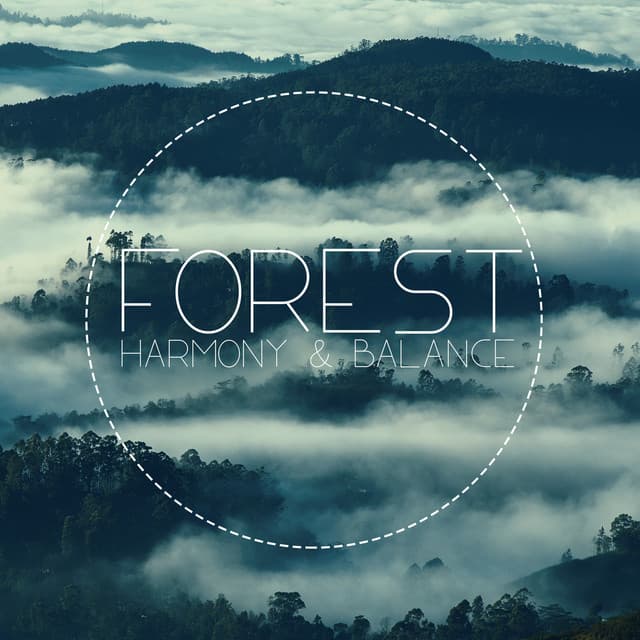 Forest Harmony & Balance: Natural Well-Being Music - Calm Singing Birds Zone