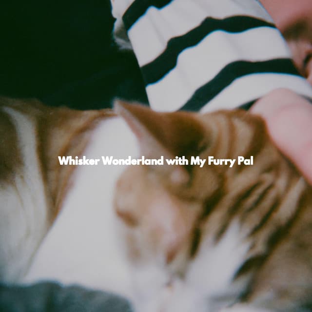 Whisker Wonderland with My Furry Pal - Bossa Nova Jazz Lounge