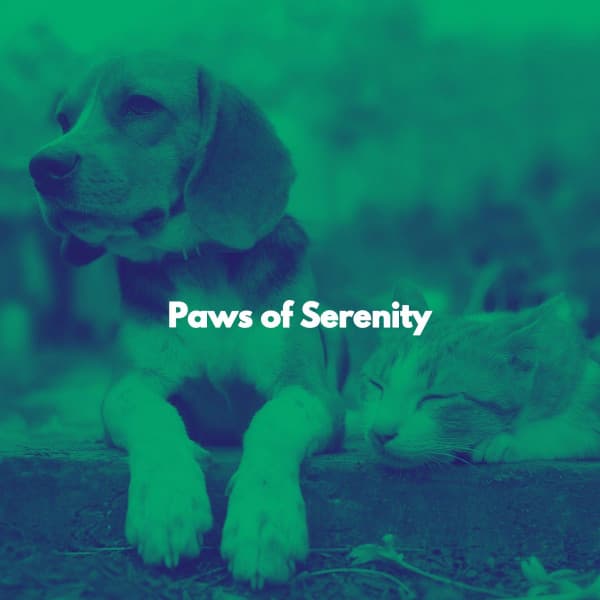 Paws of Serenity - Cosy Music Deluxe