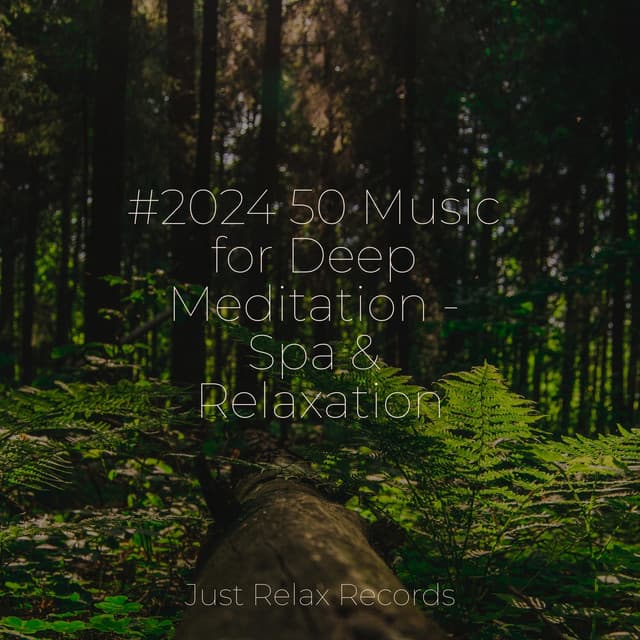 #2024 50 Music for Deep Meditation - Spa & Relaxation - Musica para Bebes