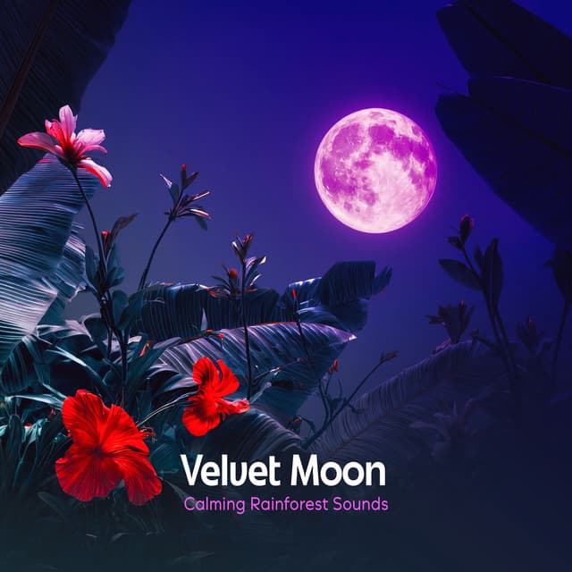 Velvet Moon - Calming Rainforest Sounds