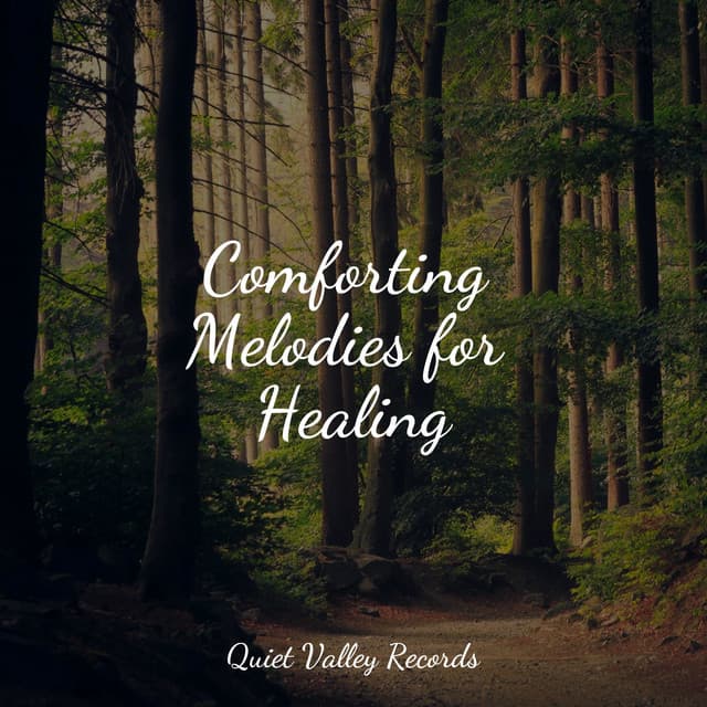 Comforting Melodies for Healing For Dogs - Official Pet Care Collection