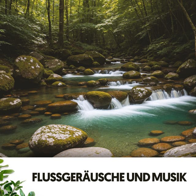 Flussgeräusche und Musik: Melodien der Ruhe - Dog Relaxation