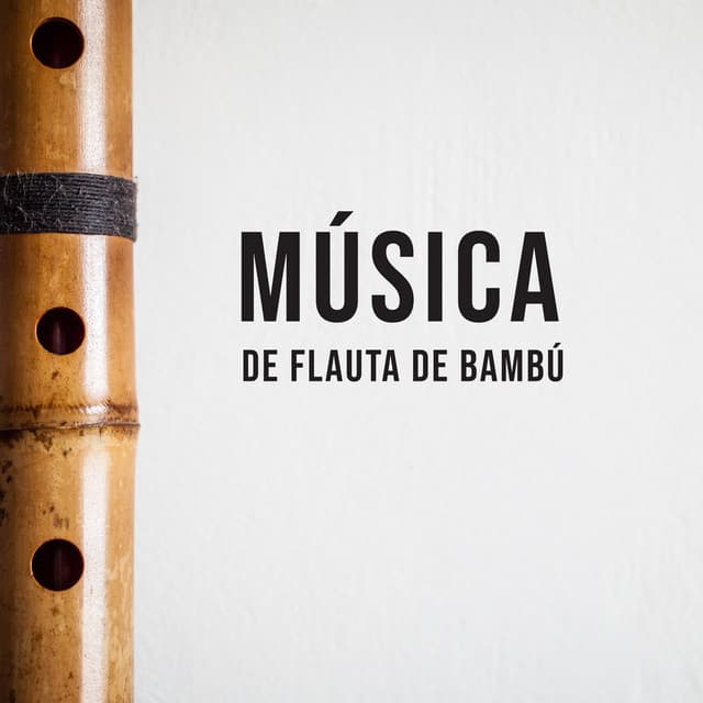 Música De Flauta De Bambú - Christa Scott