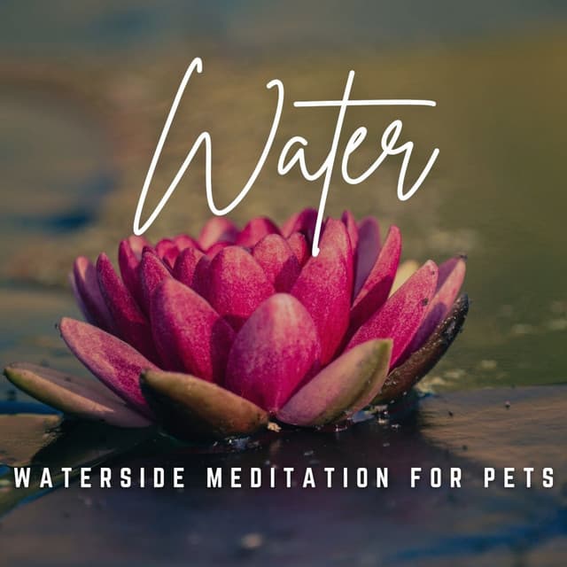 Music for Pet Zen: Gentle Water Reflections - Majestic Waters