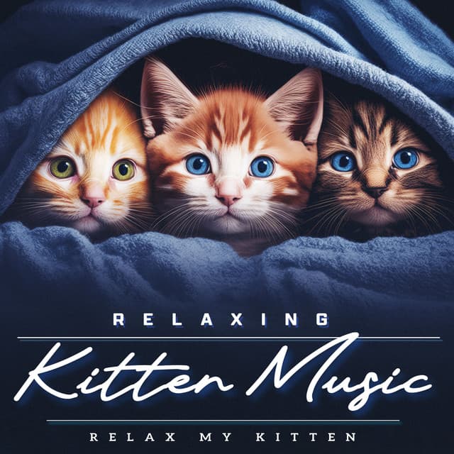 Relaxing Kitten Music - Relax My Kitten