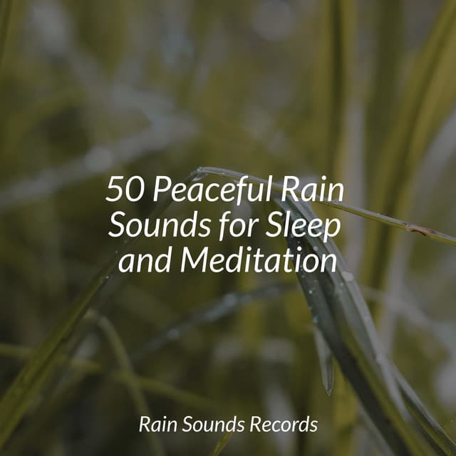 50 Peaceful Rain Sounds for Sleep and Meditation - Spa