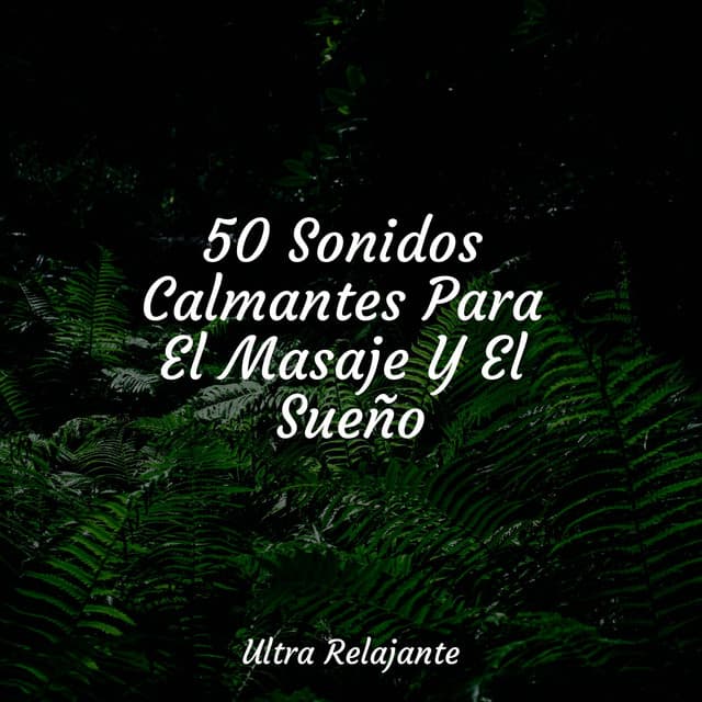 50 Sonidos Calmantes Para El Masaje Y El Sueño - Sonidos de la Naturaleza Relajacion