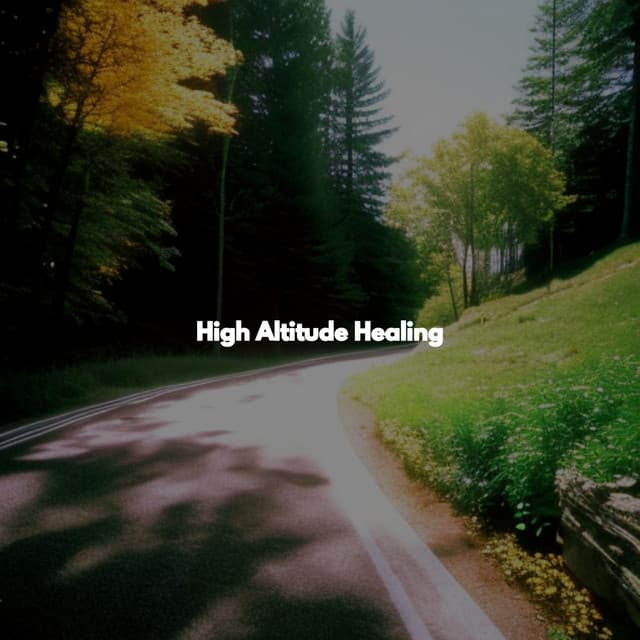 High Altitude Healing - Cafe BGM Japan