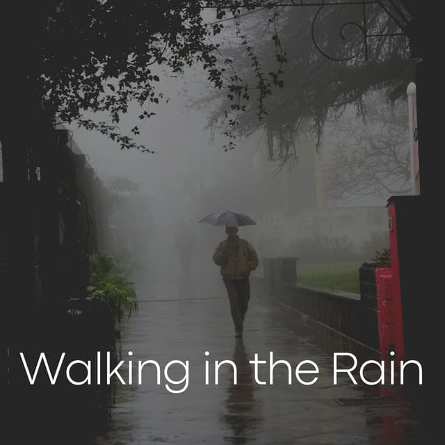Walking in the Rain - Rainy Dreaming