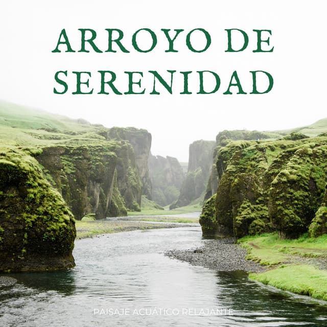 El proyecto del ruido