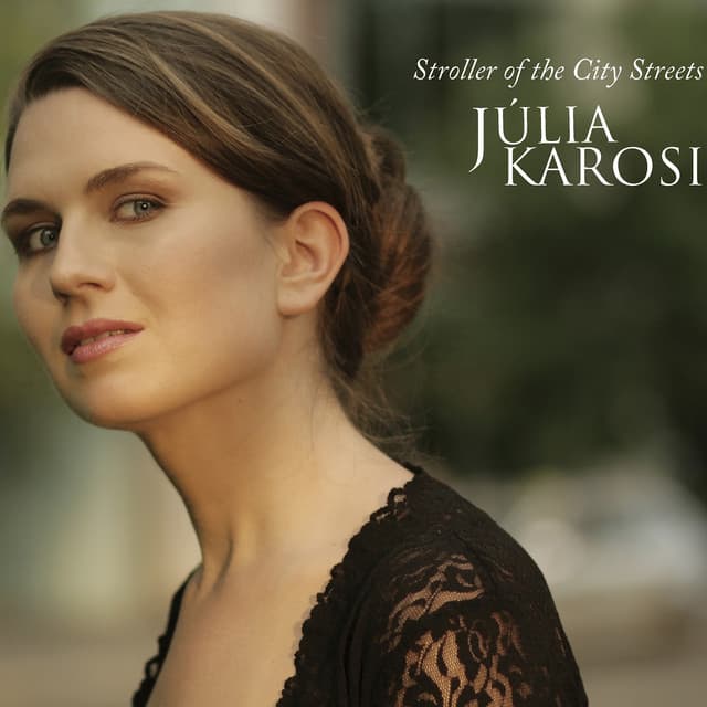 Stroller of the City Streets - Julia Karosi