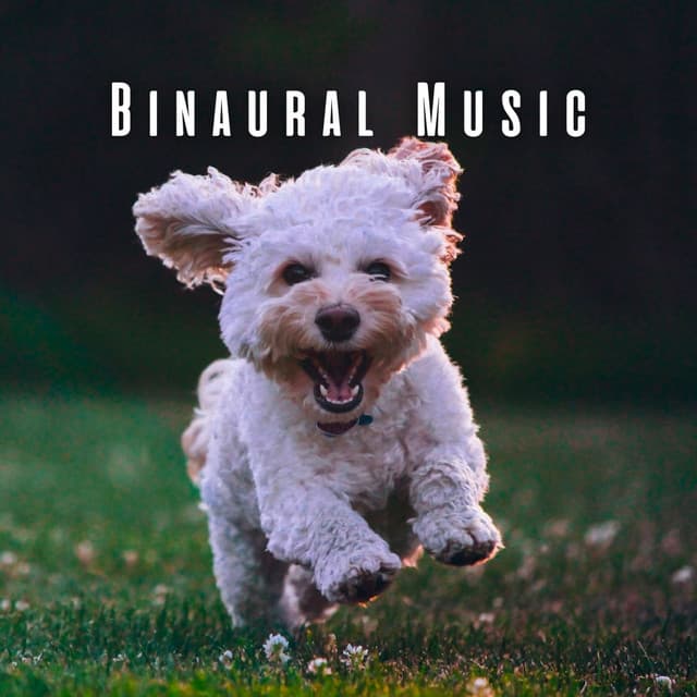 Binaural Music: Healing Dogs' Souls - Binaural Beats Recordings
