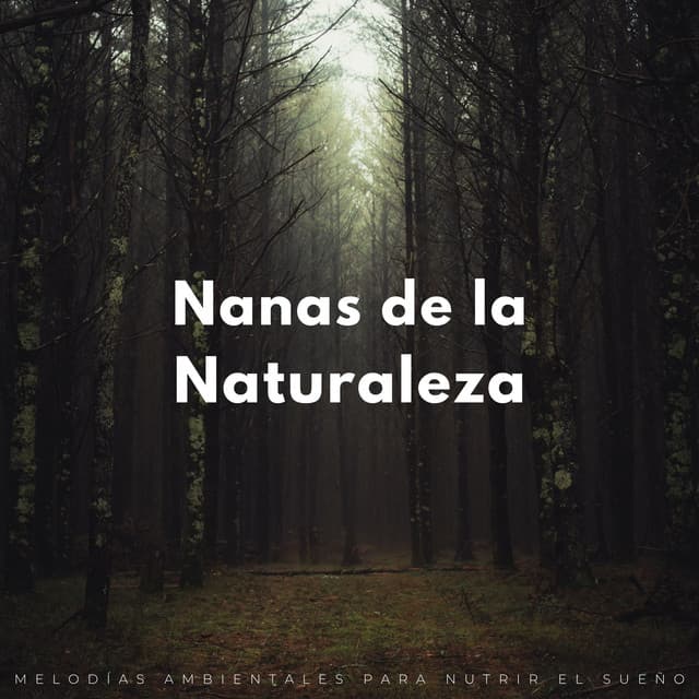 Nanas De La Naturaleza: Melodías Ambientales Para Nutrir El Sueño - Sonidos orgánicos de la naturaleza