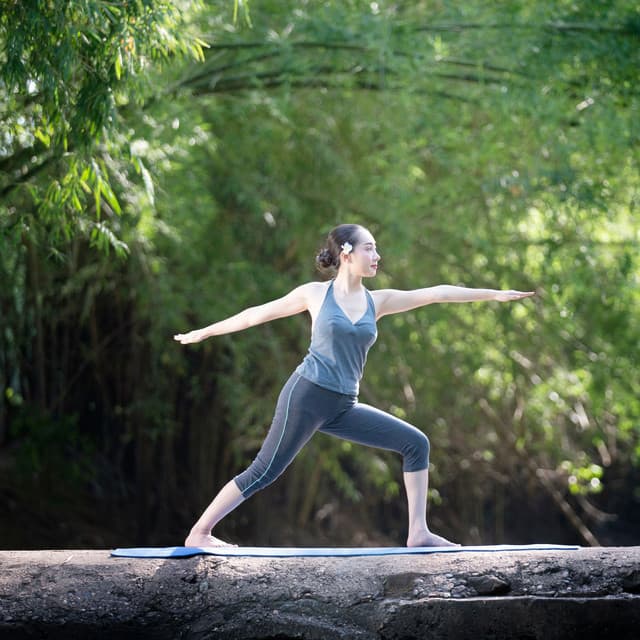 Nature's Melodic Journey: Relaxing Ambient and Forest Insect Yoga - Nature Hiker