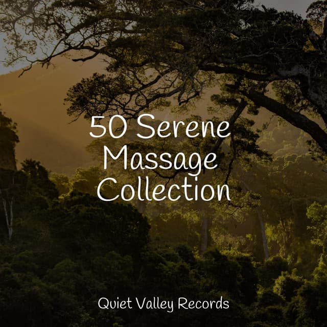 50 Serene Massage Collection - Study Music