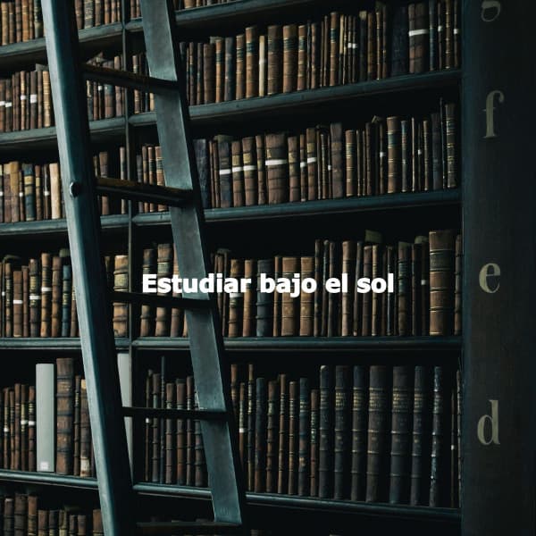 Estudiar bajo el sol - Suave Música para Dormir