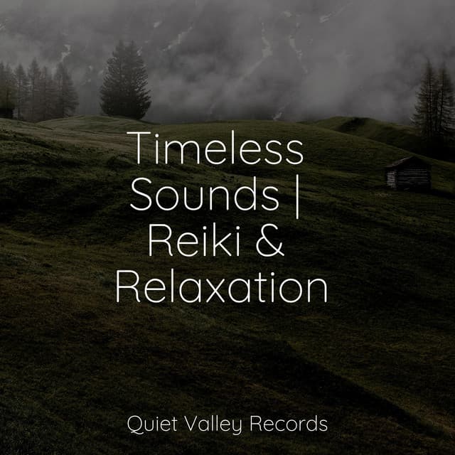 Timeless Sounds | Reiki & Relaxation - Bedtime Baby