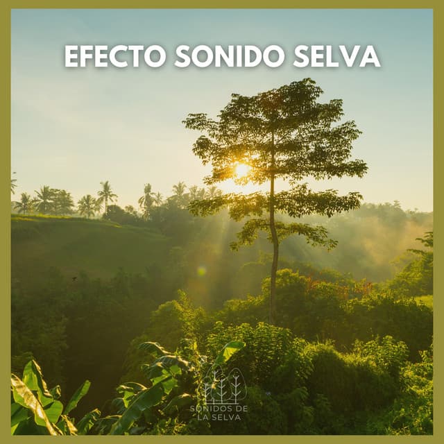 Efecto Sonido Selva - Sonidos De La Selva