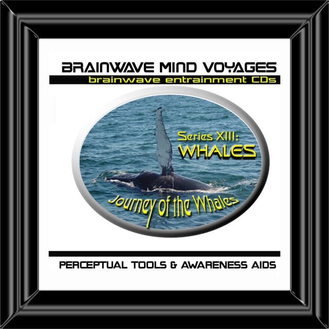 BMV Series 13 - Whales - Nature Brainwave Meditation - Brainwave Mind Voyages