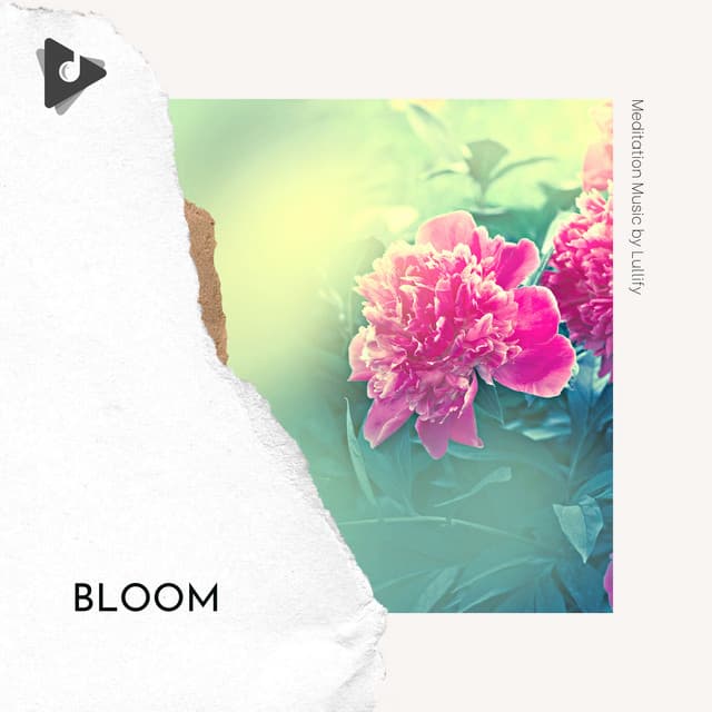 Bloom - Meditation Music by Lullify