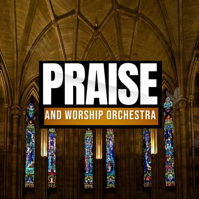 Goodness and Mercy - Praise and Worship Orchestra
