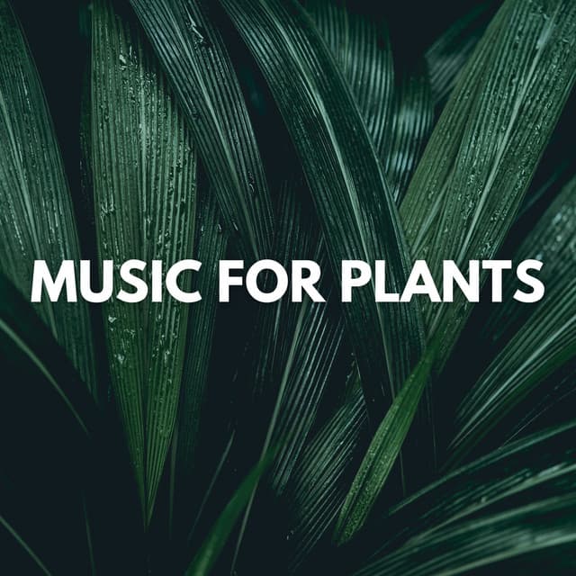 Music for Plants - Plant Love