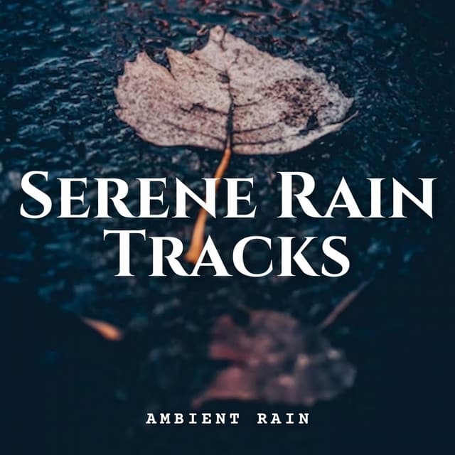 Ambient Rain: Serene Rain Tracks - The Binaural Mind