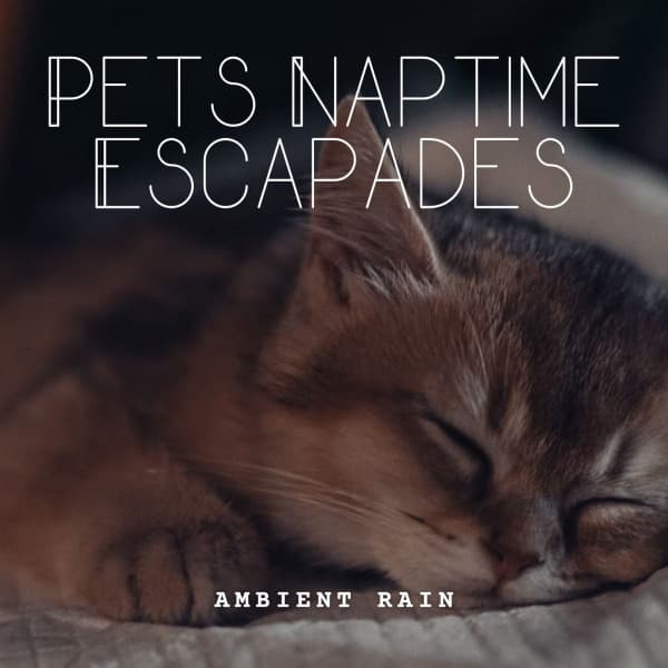 Ambient Rain: Pets Naptime Escapades - Sleep
