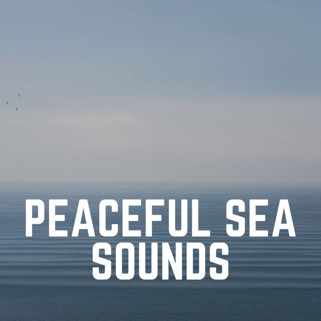 Peaceful Sea Sounds - Coast to Coast Recordings