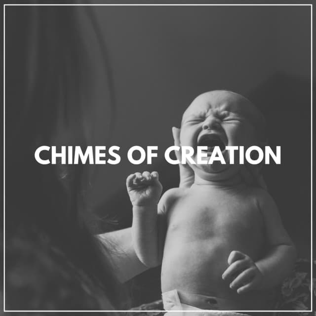 Chimes of Creation - Pregnant Women Music Company