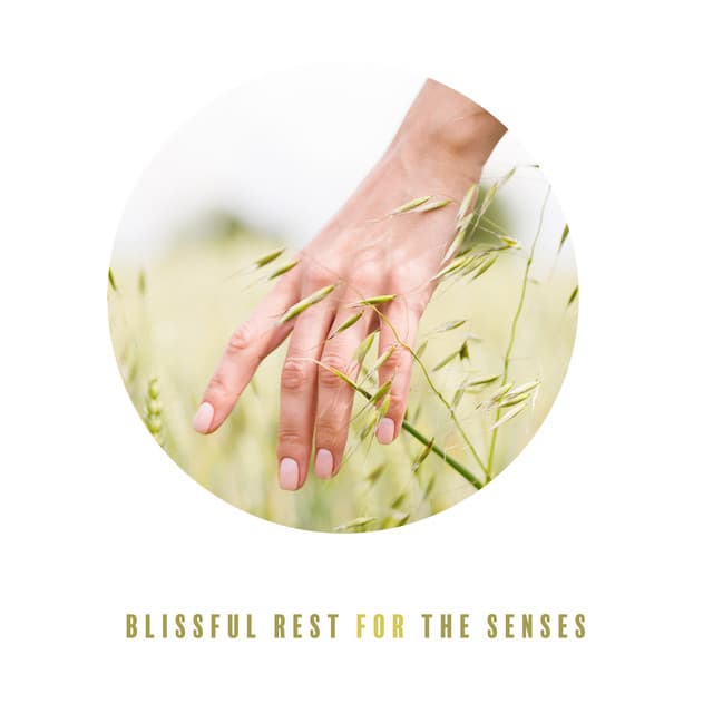 Blissful Rest for the Senses – Endless Relax, Anti-Stress, Spa, New Age Soothing Therapy - Best Space Music