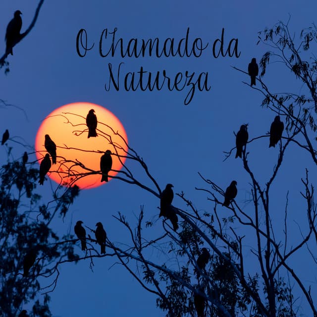 O Chamado da Natureza: Acolhendo a Ansiedade e o Estresse - Meditação e Espiritualidade Musica Academia