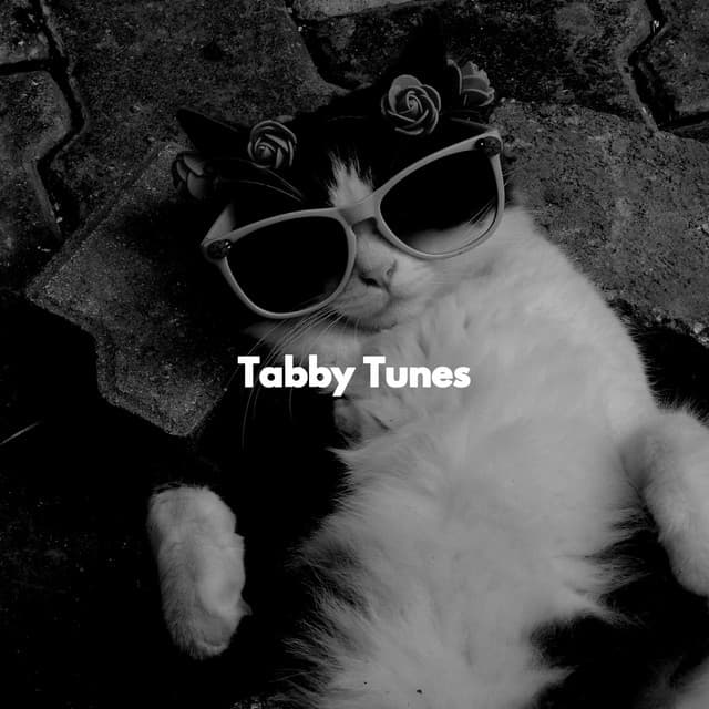 Tabby Tunes - Cat Music Dreams