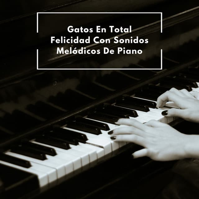 Gatos En Total Felicidad Con Sonidos Melódicos De Piano - Relajante Piano Jazz