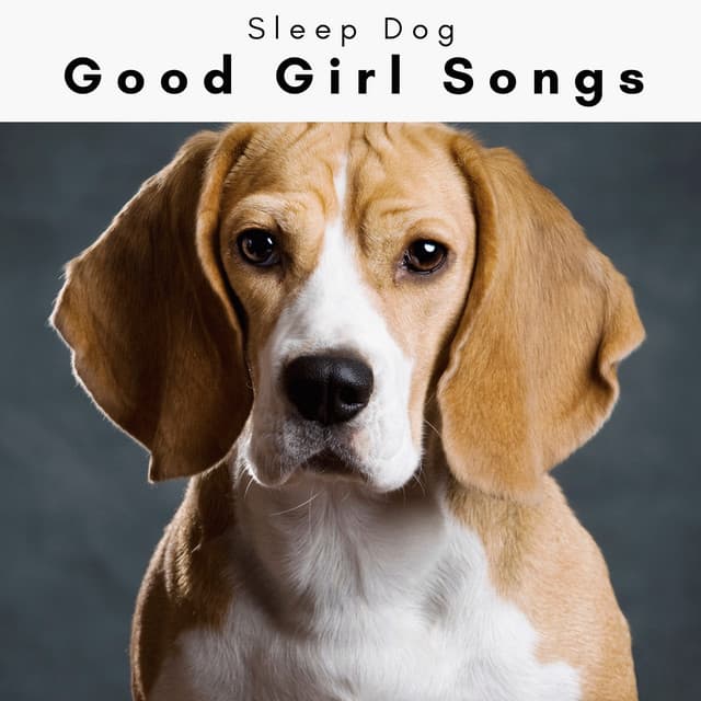 4 Paws: Good Girl Songs - Sleep Dog