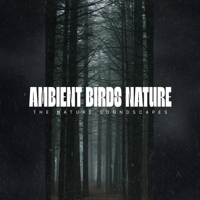 Ambient Birds Nature - The Nature Soundscapes