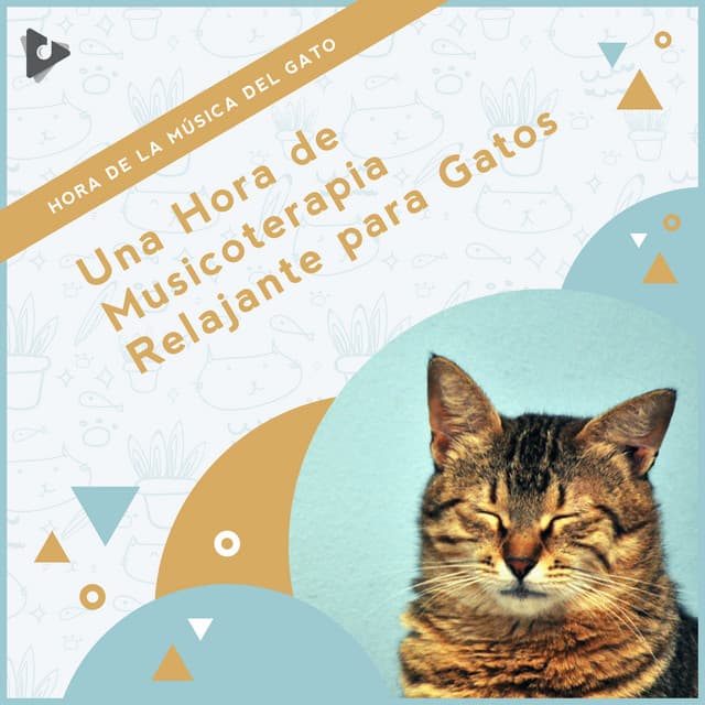 1 Hora de Musicoterapia Relajante para Gatos - Hora de la Música del Gato