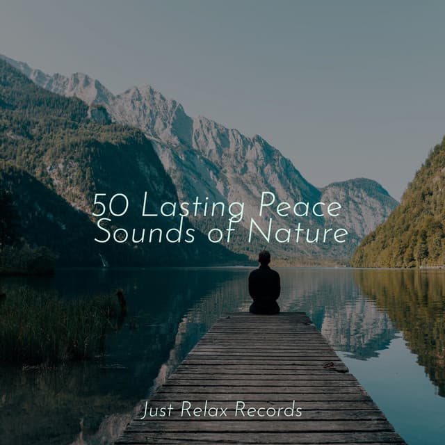 50 Lasting Peace Sounds of Nature - Meditación