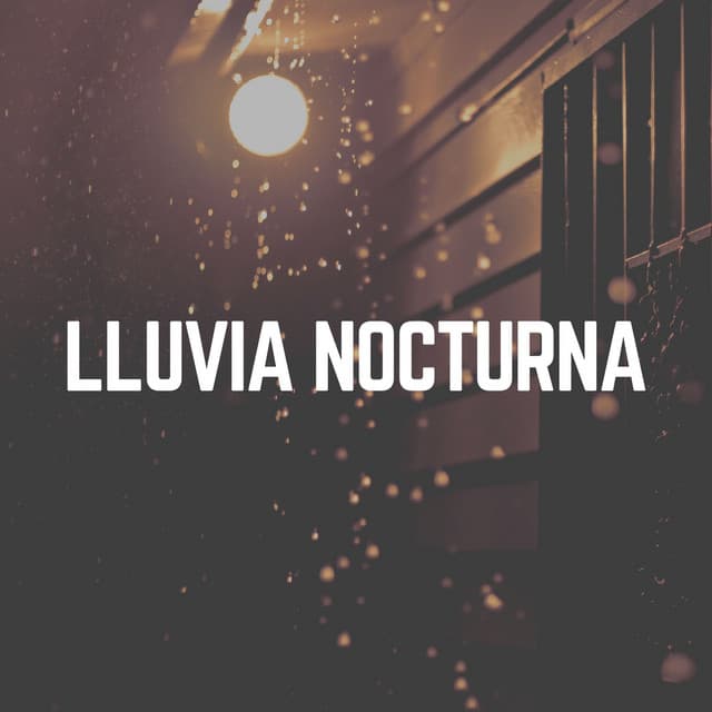 Lluvia Nocturna - Cascada de Lluvia