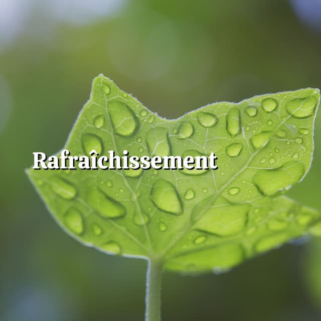 Rafraîchissement - Chute de Pluie