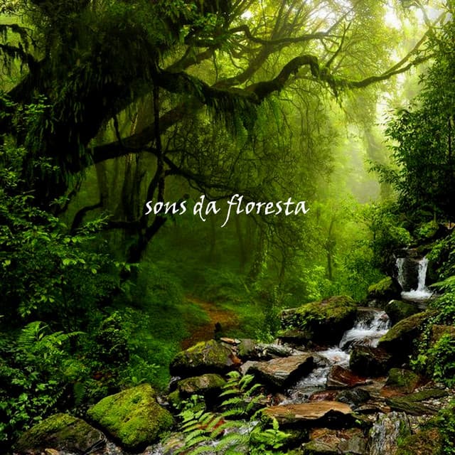 Sons da Floresta - Música para Dormir Rápido