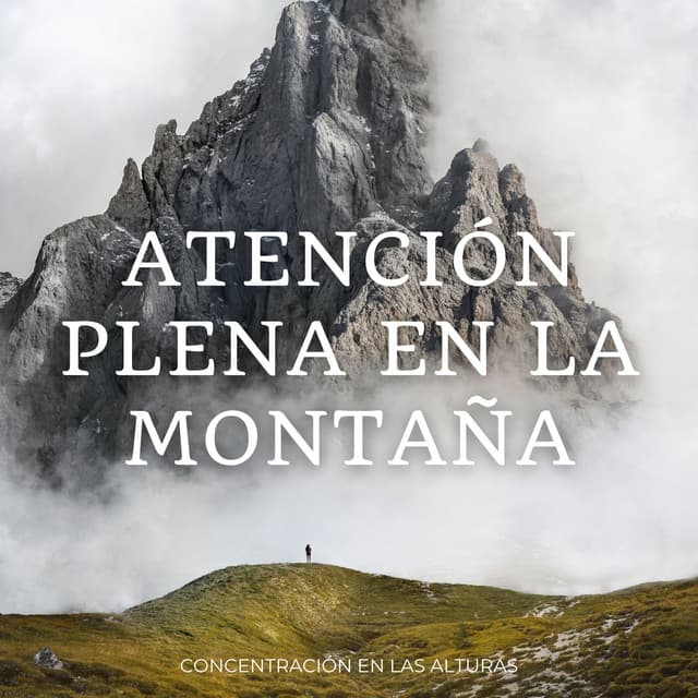 Atención Plena En La Montaña: Concentración En Las Alturas - Consorte de estimulación cerebral