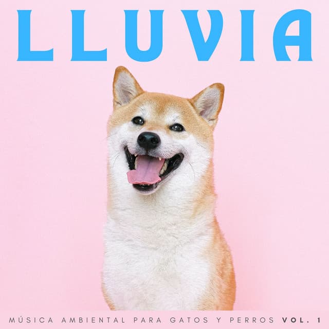 Lluvia: Música Ambiental Para Gatos Y Perros Vol. 1 - Música de día lluvioso
