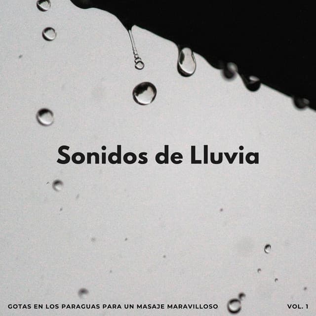 Sonidos De Lluvia: Gotas En Los Paraguas Para Un Masaje Maravilloso - Palacio de la lluvia