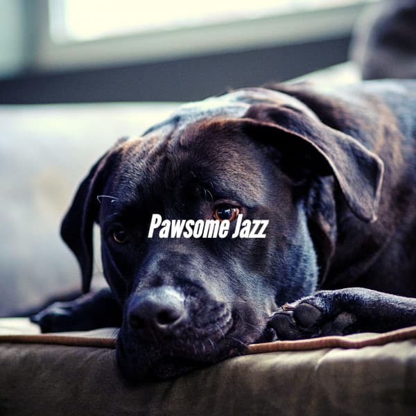 Pawsome Jazz - Home Alone Dog Music